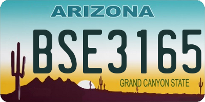 AZ license plate BSE3165