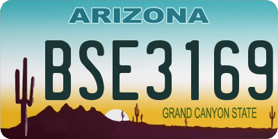 AZ license plate BSE3169