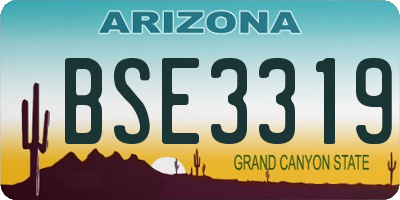 AZ license plate BSE3319
