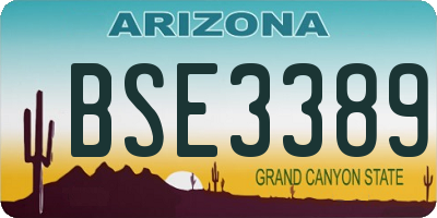 AZ license plate BSE3389