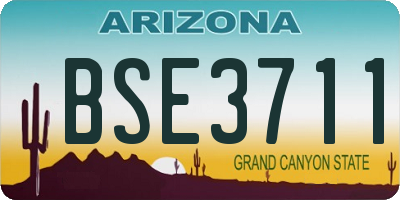 AZ license plate BSE3711