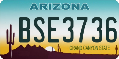 AZ license plate BSE3736