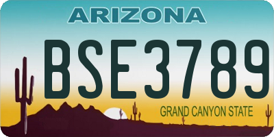 AZ license plate BSE3789