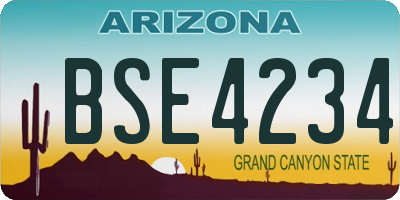 AZ license plate BSE4234