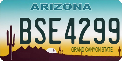 AZ license plate BSE4299