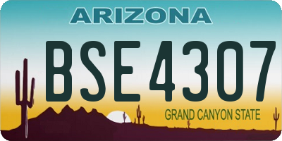 AZ license plate BSE4307