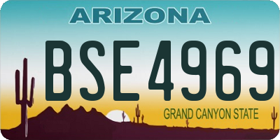 AZ license plate BSE4969