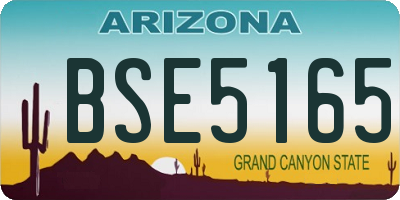 AZ license plate BSE5165