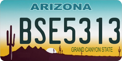 AZ license plate BSE5313
