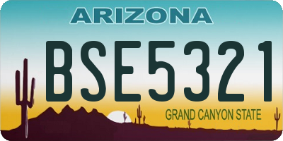 AZ license plate BSE5321