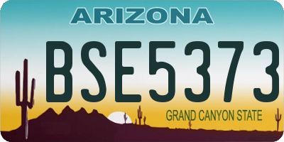 AZ license plate BSE5373