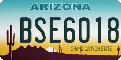 AZ license plate BSE6018