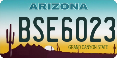 AZ license plate BSE6023