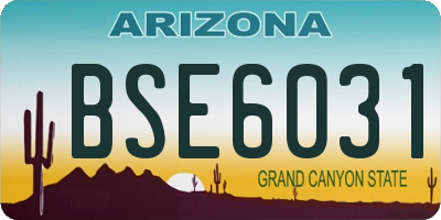AZ license plate BSE6031