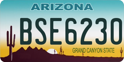 AZ license plate BSE6230