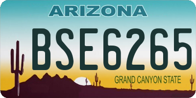 AZ license plate BSE6265