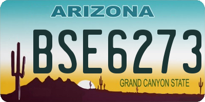AZ license plate BSE6273