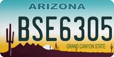 AZ license plate BSE6305