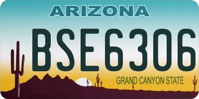 AZ license plate BSE6306