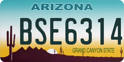 AZ license plate BSE6314