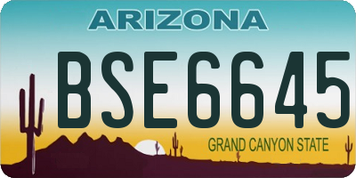 AZ license plate BSE6645