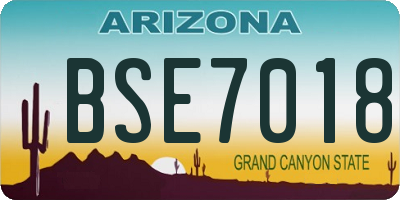 AZ license plate BSE7018