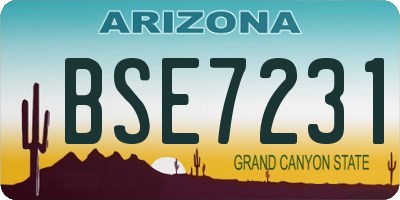 AZ license plate BSE7231