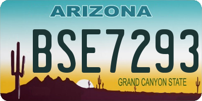 AZ license plate BSE7293