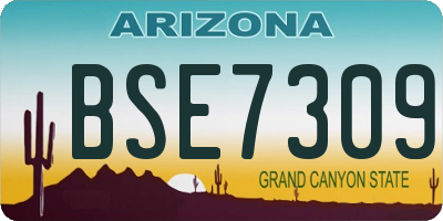 AZ license plate BSE7309