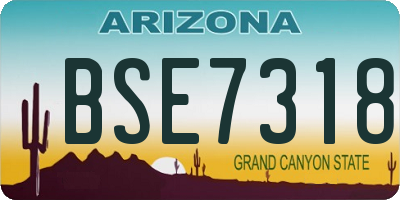 AZ license plate BSE7318