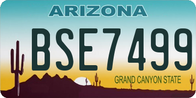 AZ license plate BSE7499