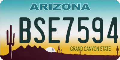 AZ license plate BSE7594