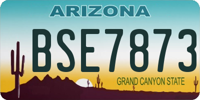 AZ license plate BSE7873