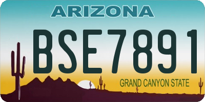 AZ license plate BSE7891