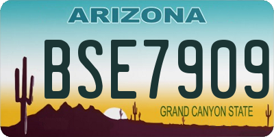 AZ license plate BSE7909