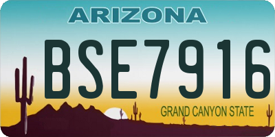 AZ license plate BSE7916