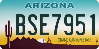 AZ license plate BSE7951