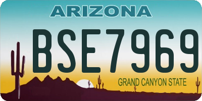 AZ license plate BSE7969