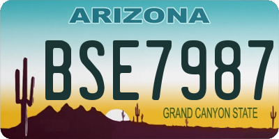 AZ license plate BSE7987