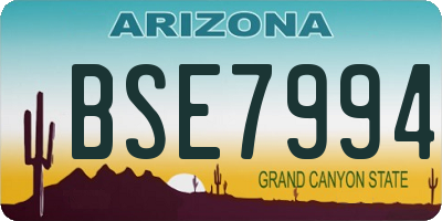 AZ license plate BSE7994