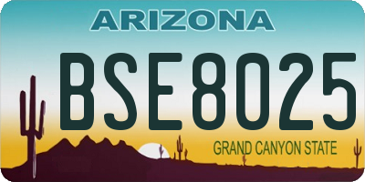 AZ license plate BSE8025