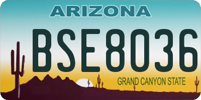 AZ license plate BSE8036