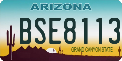 AZ license plate BSE8113