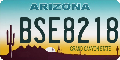 AZ license plate BSE8218