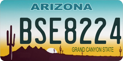 AZ license plate BSE8224