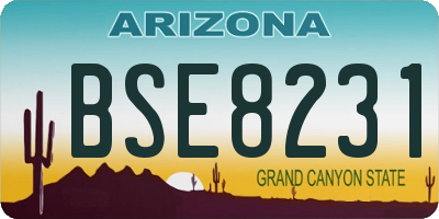 AZ license plate BSE8231