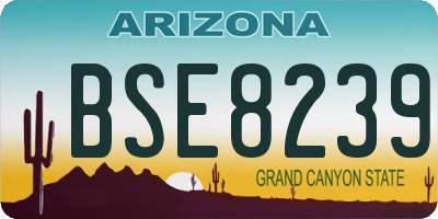 AZ license plate BSE8239