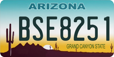 AZ license plate BSE8251