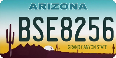 AZ license plate BSE8256