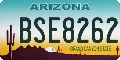 AZ license plate BSE8262